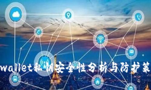 tpwallet私钥安全性分析与防护策略